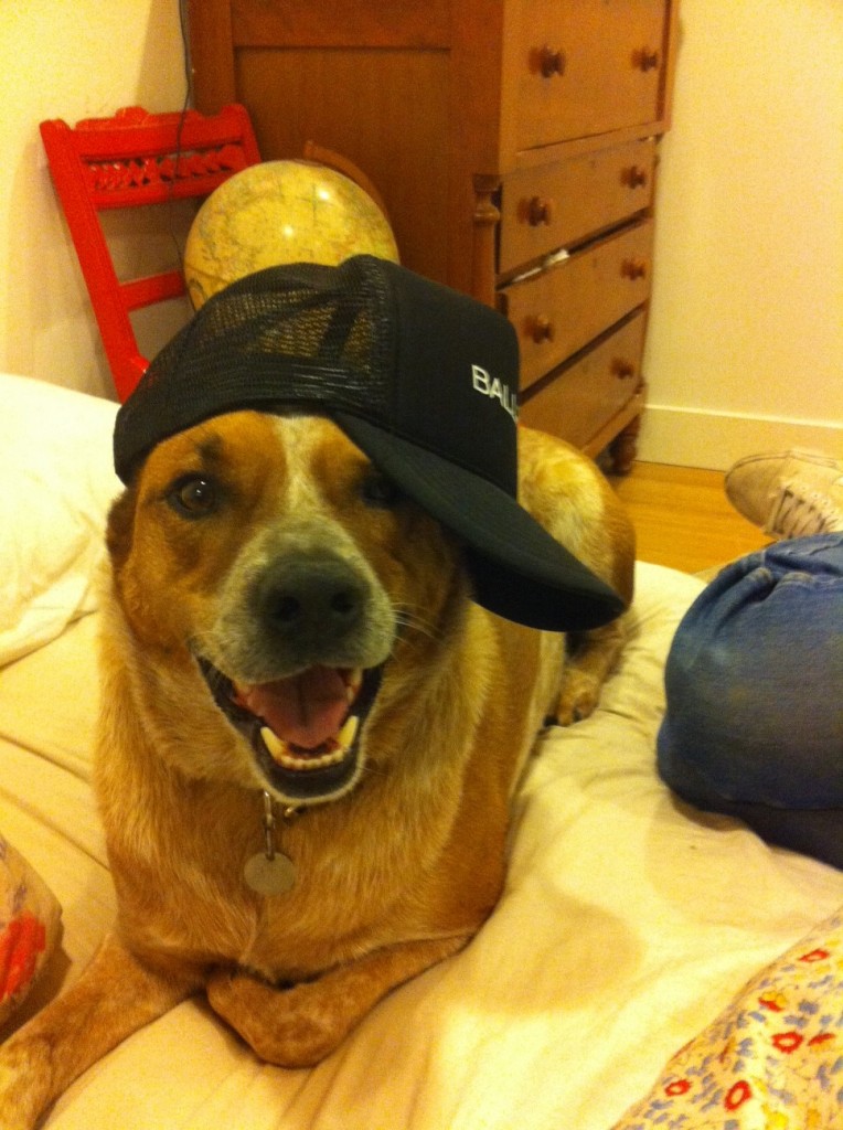 gangsta clyde