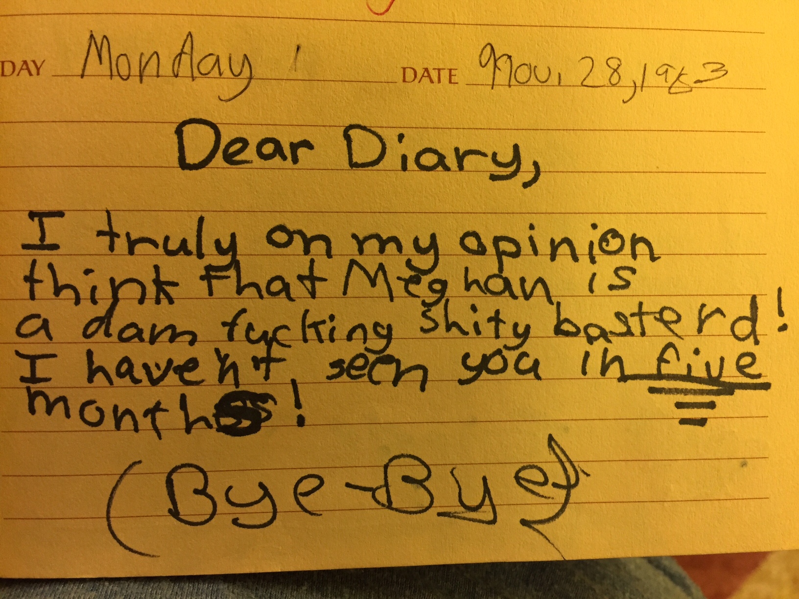 courtney's incredible diary
