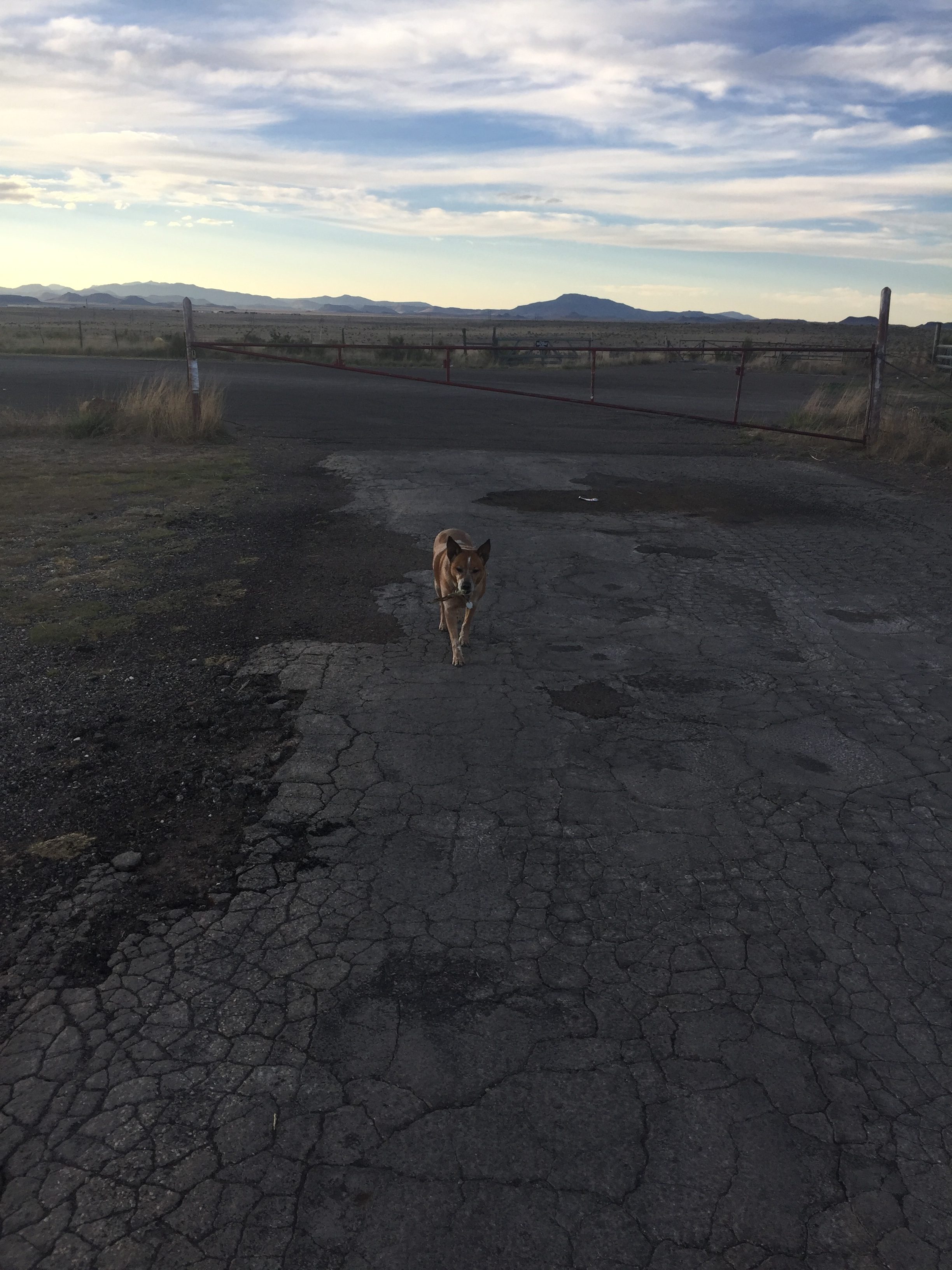 OH MY GOSH THAT'S A SNAKE