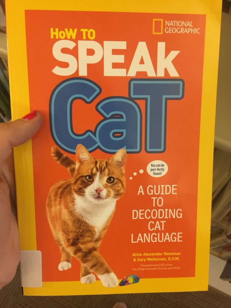 how to speak cat