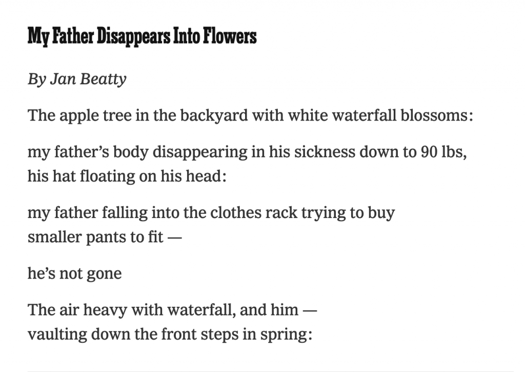 My Father Disappears Into Flowers

By Jan Beatty