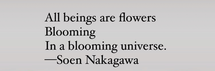 poem by soen nakagawa